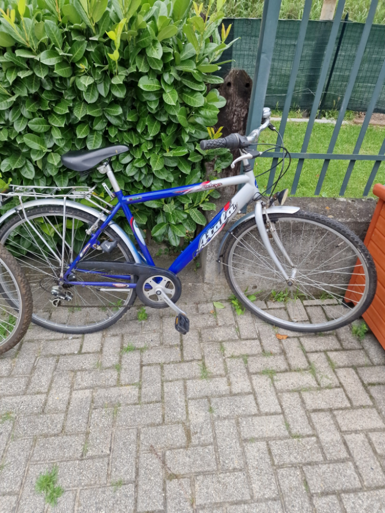 Mercatopoli Bici Adulto