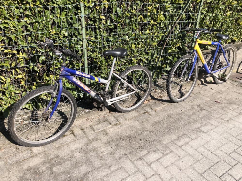 Mercatopoli Bici Ragazzo