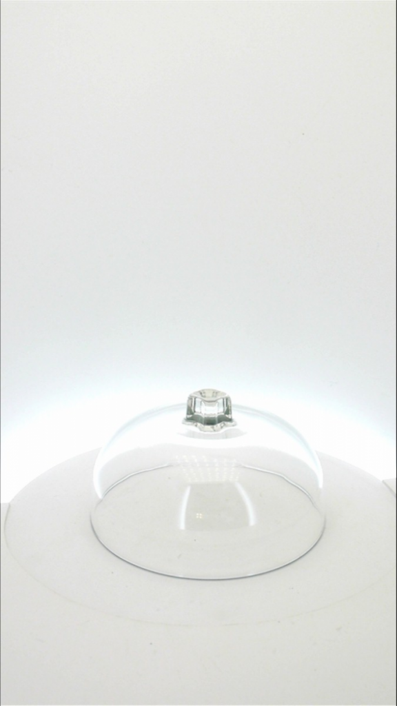 Mercatopoli Cupola 20 Cm Proteggi Alimenti