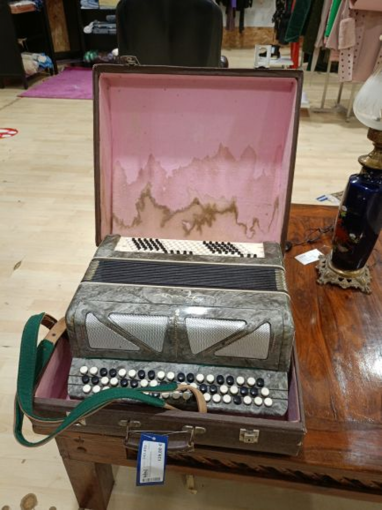 Mercatopoli Fisarmonica Con Custodia