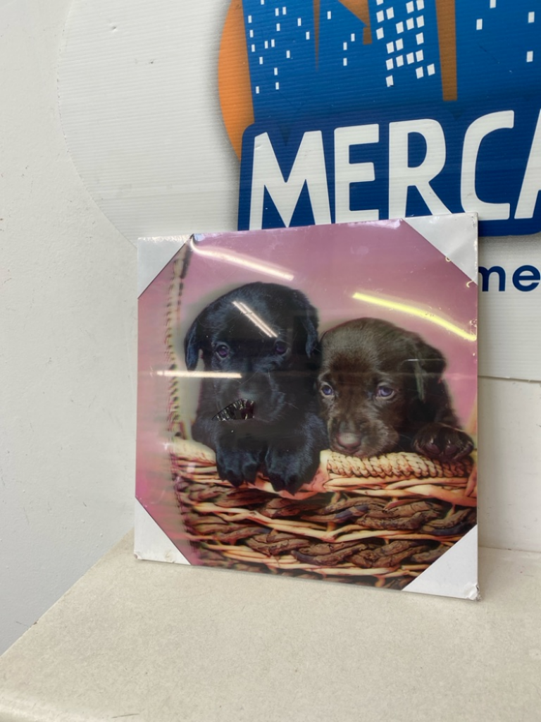 Mercatopoli Pannellino Cani 3d