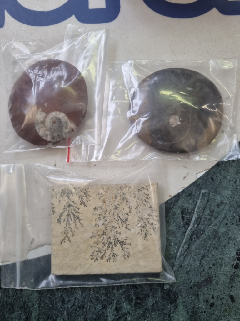 Mercatopoli Pietra Fossile