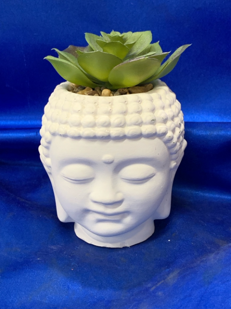 Mercatopoli Porta Piantina "viso Di Budda" Bianca G