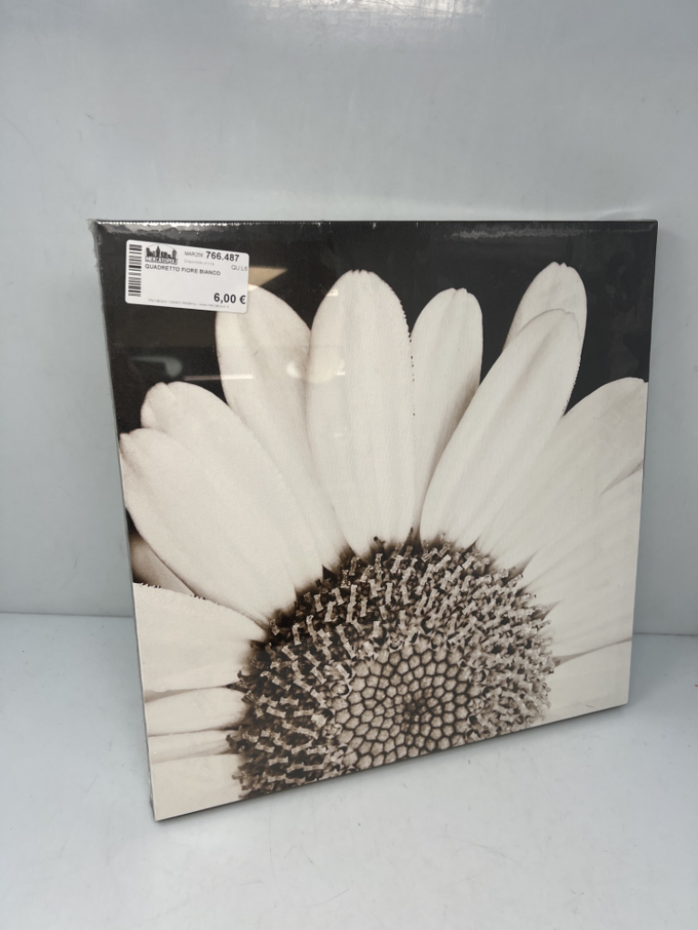 Mercatopoli Quadretto Fiore Bianco