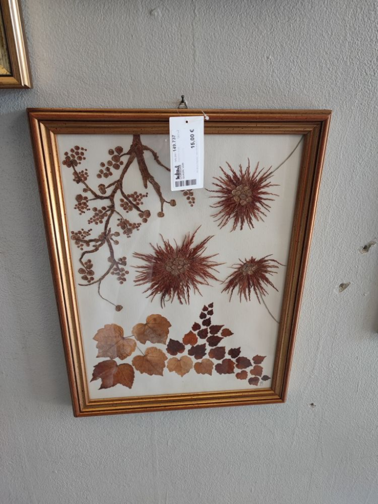 Mercatopoli Quadri Vari