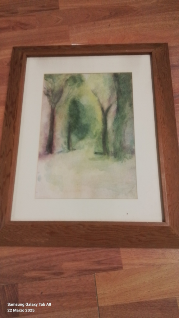 Mercatopoli Quadro Acquerello Bosco 35 X 45