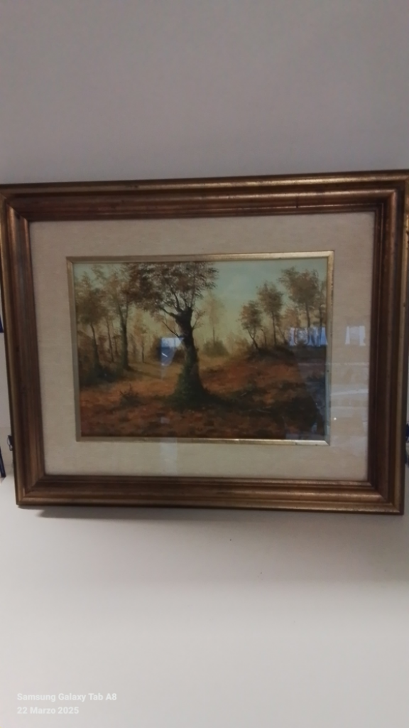 Mercatopoli Quadro Olio Bosco Stoduti 57 X 45