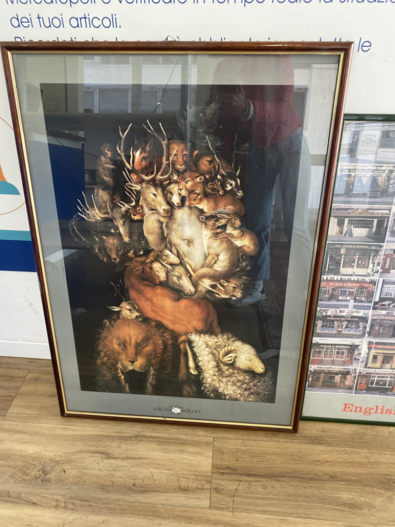 Mercatopoli Stampa Arcinboldo