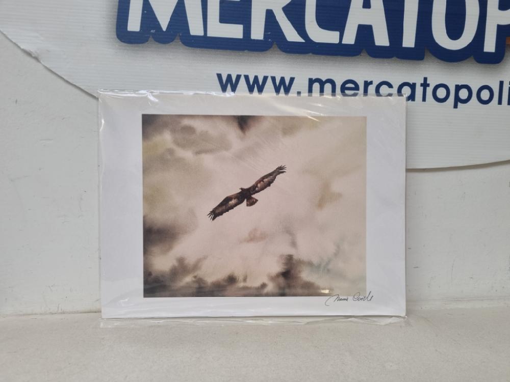 Mercatopoli Stampa Fotografica Aquila