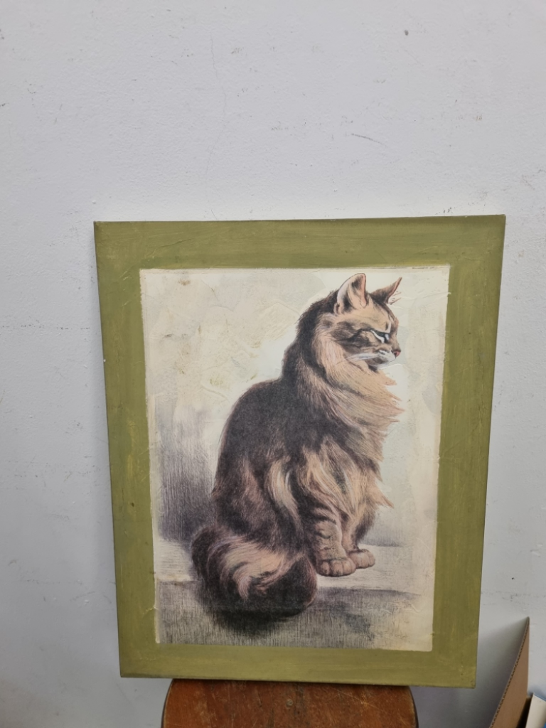 Mercatopoli Tela Gatto