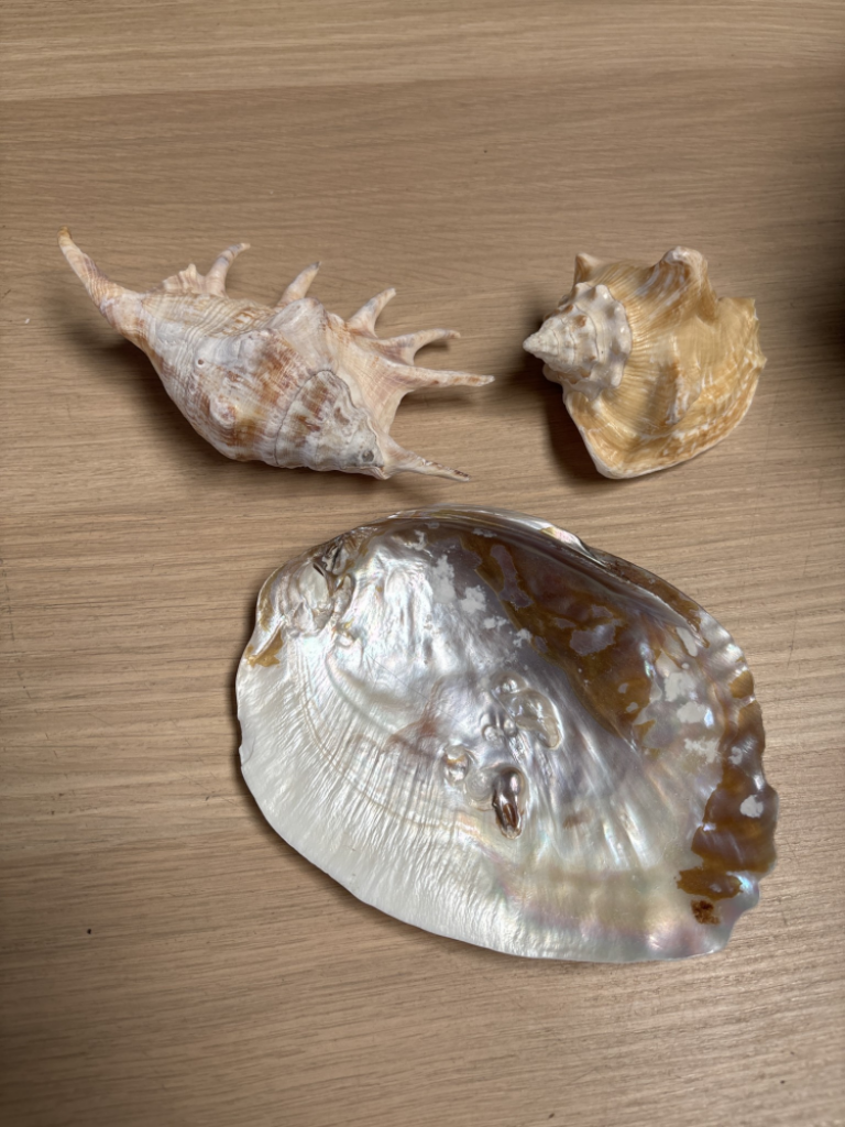 Mercatopoli TRIS CONCIGLIE