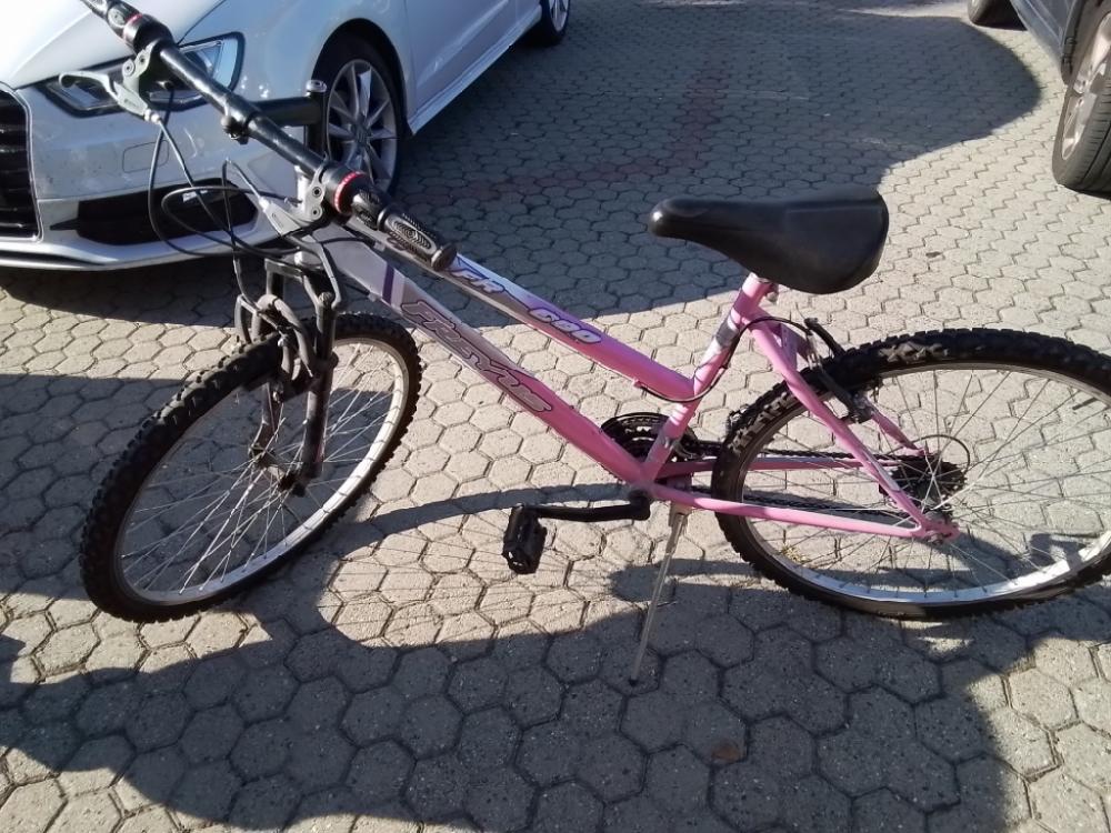 Mercatopoli Mountine Bike Ragazza Freyus 6 Cambi Mt Fr 600