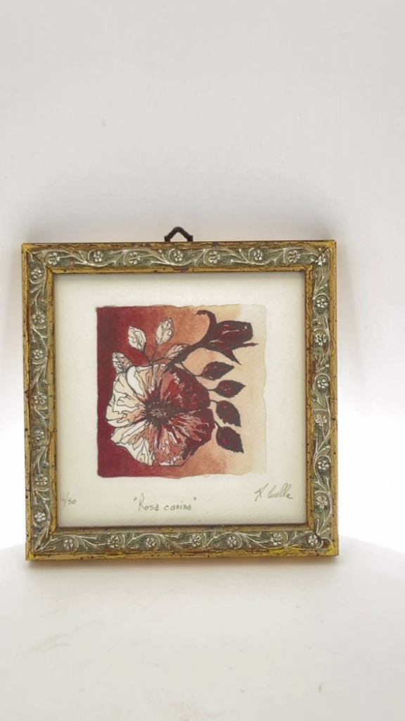 Mercatopoli Quadretto Litografia Rosa Canina Patrizia Cerella 16x16cm