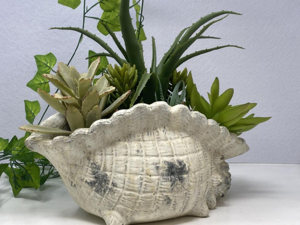 Mercatopoli Soprammobile Conchiglia Con Composizione Piante Grasse 31x17x30cm