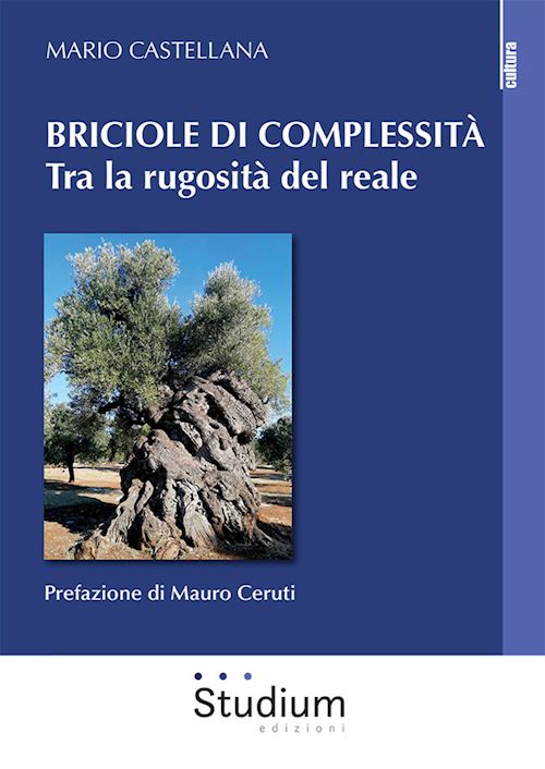 Hoepli BRICIOLE DI COMPLESSITA'. TRA LA RUGOSITA' DEL REALE