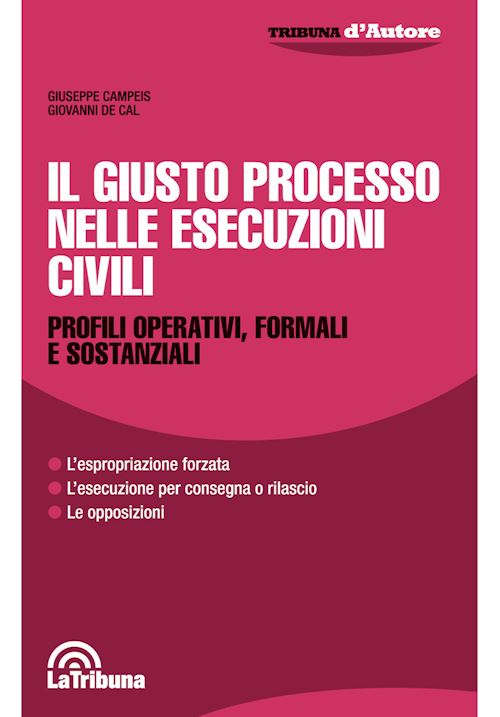 Hoepli GIUSTO PROCESSO NELLE ESECUZIONI CIVILI Profikli operativi formali e sostanziali