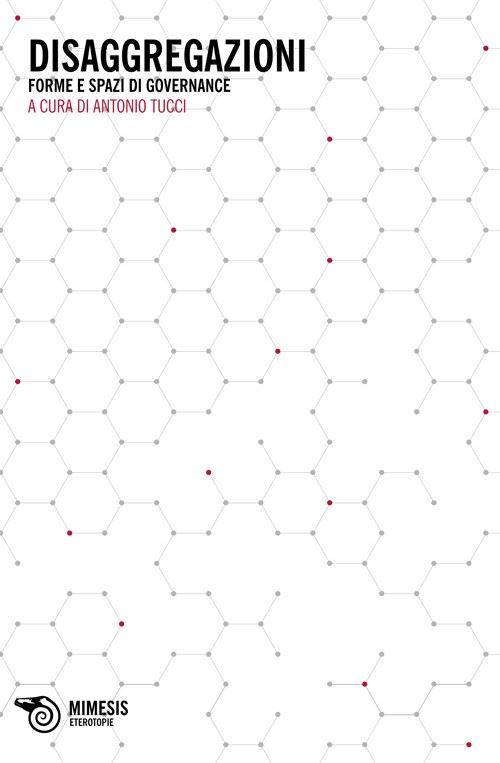 Hoepli DISAGGREGAZIONI. FORME E SPAZI DI GOVERNANCE