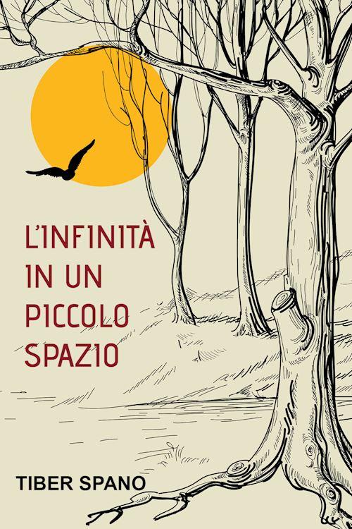 Hoepli L'INFINITA' IN UN PICCOLO SPAZIO