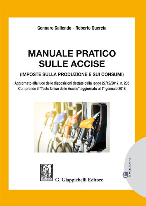 Hoepli MANUALE PRATICO SULLE ACCISE