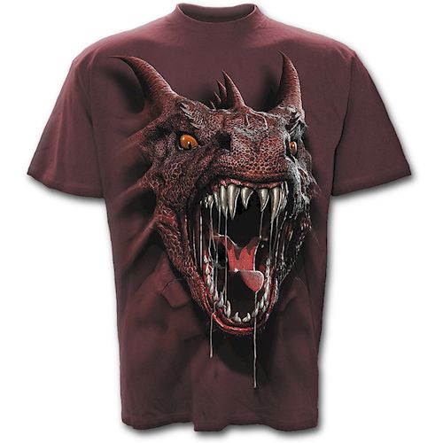 Hoepli Roar Of The Dragon