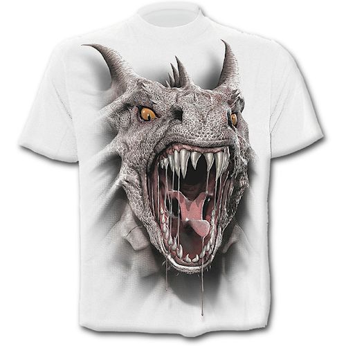 Hoepli Roar Of The Dragon