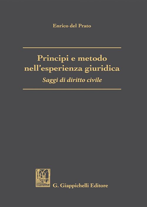 Hoepli PRINCIPI E METODO NELL'ESPERIENZA GIURIDICA Saggi di diritto civile