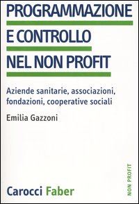 Hoepli PROGRAMMAZIONE E CONTROLLO NEL NON PROFIT Aziende sanitarie associazioni fondazioni cooperative sociali