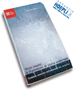 Hoepli VEZZI INSULSI E FRAMMENTI DI STORIA UNIVERSALE TENDENZE ESTETICHE NELL'ECONOMIA DEL SIMBOLICO